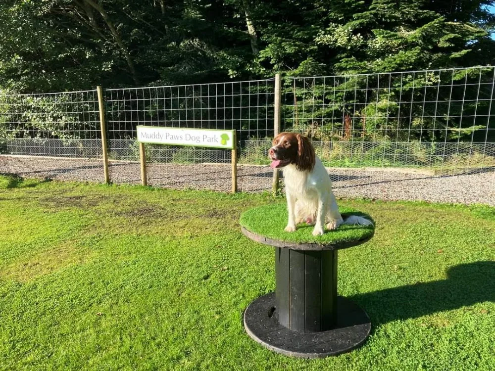 Scotsburn Kennels and Cattery - Outer Hebrides pet otel görseli 3