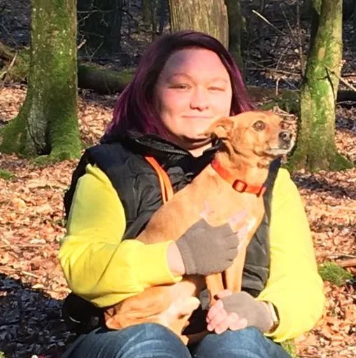 Hunde SOS Oberberg Hundepension - Overath pet otel görseli 5