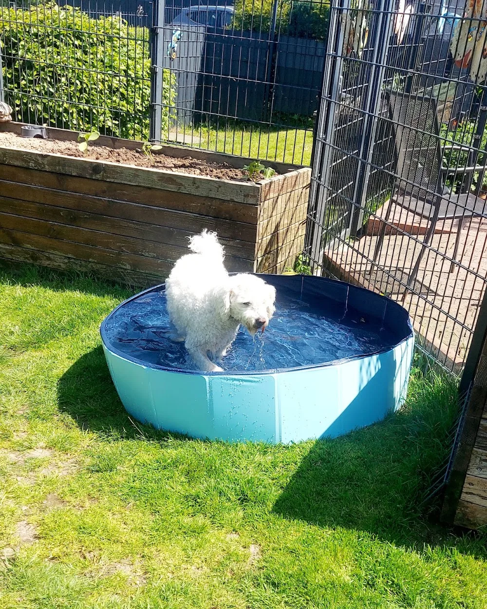 Hundepension Domnick - Overath pet otel