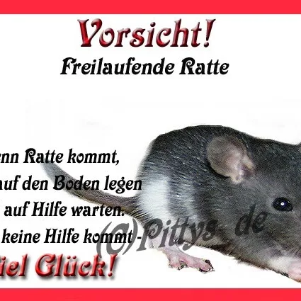 Ottofülling Susanne - Overath pet otel görseli 4