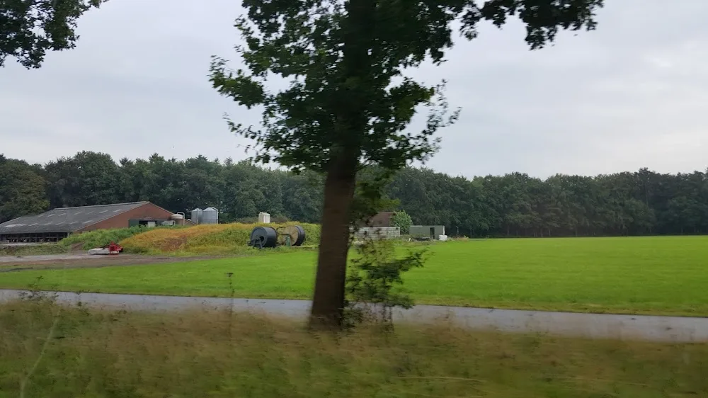 Dierenherberg Het Grote Veld - Overijssel pet otel görseli 3
