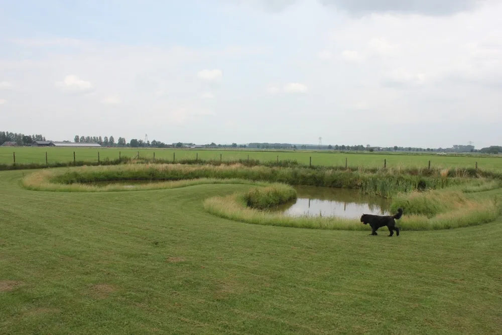 Dierenhotel A1 - Overijssel pet otel görseli 3