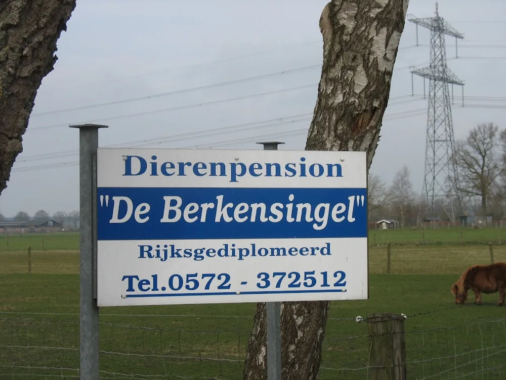 Dierenpension "De Berkensingel" - Overijssel pet otel