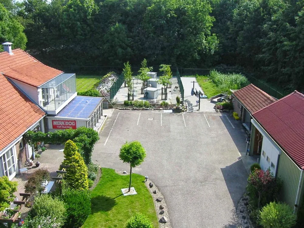 Dierenpension Marknesse - Overijssel pet otel