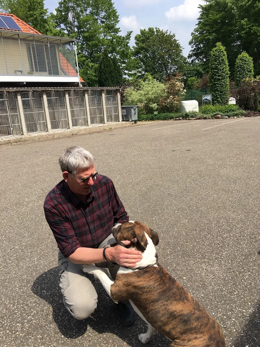 Dierenpension Marknesse - Overijssel pet otel görseli 3