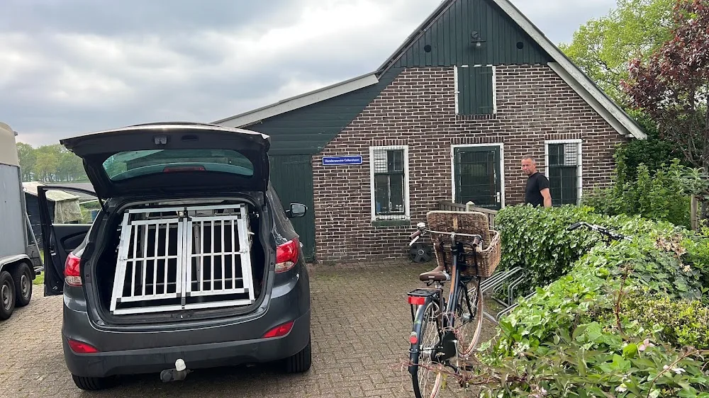 Hondenopvang Coldervenne - Overijssel pet otel