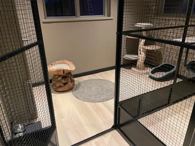 Kattenhotel Het Snorrenhuus - Overijssel pet otel
