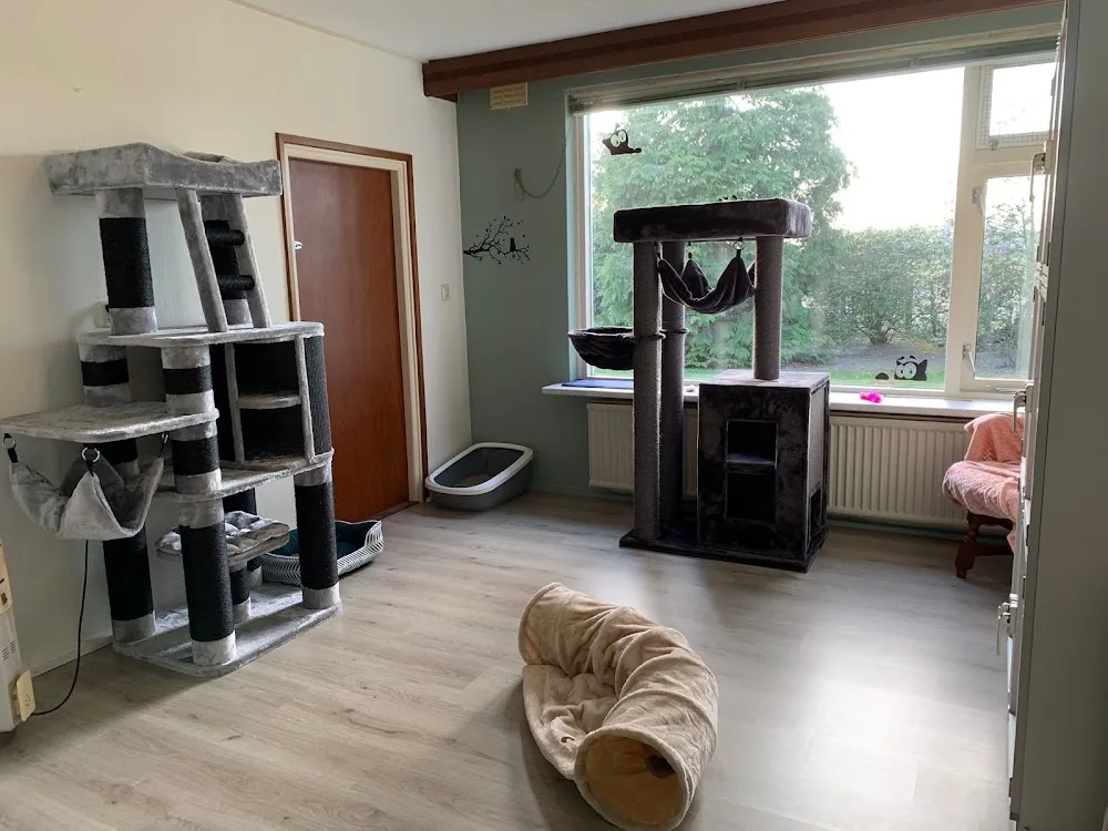 KattenPensionHieke - Overijssel pet otel