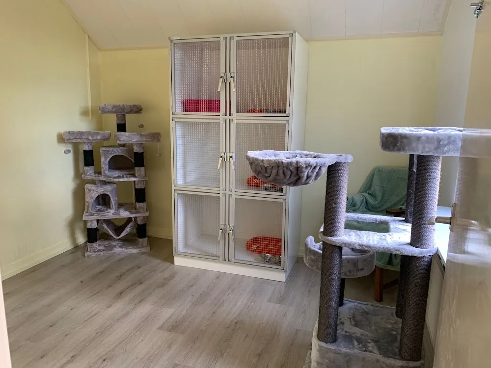 KattenPensionHieke - Overijssel pet otel görseli 3