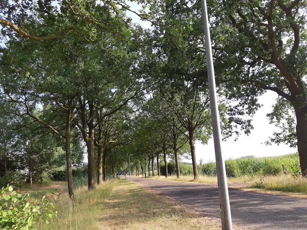 maatschap jg versteeg en g vos - Overijssel pet otel görseli 3