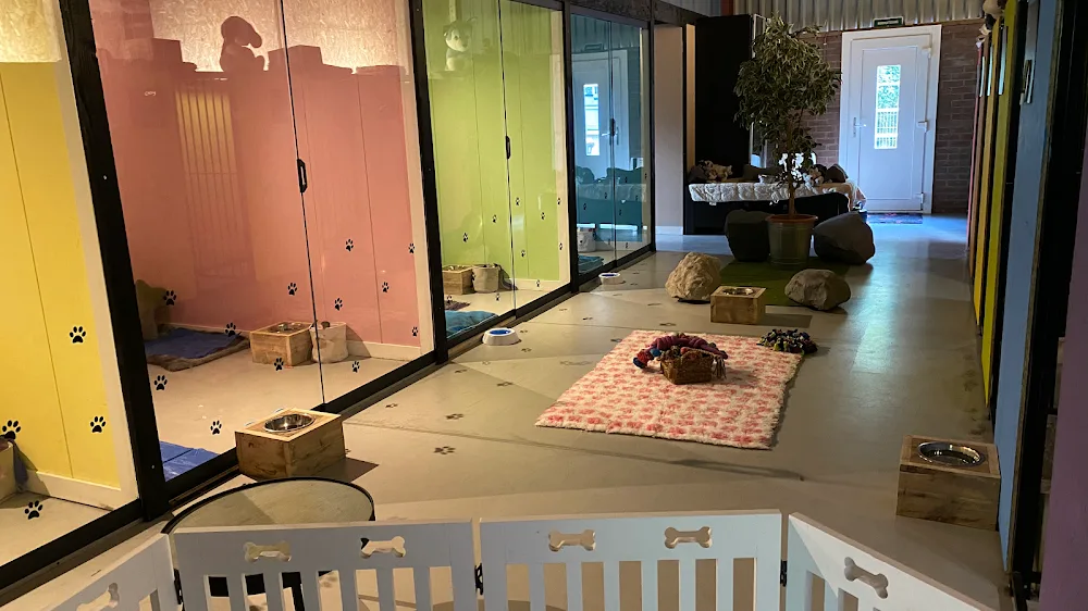 Sharon’s hondenpension - Overijssel pet otel görseli 2