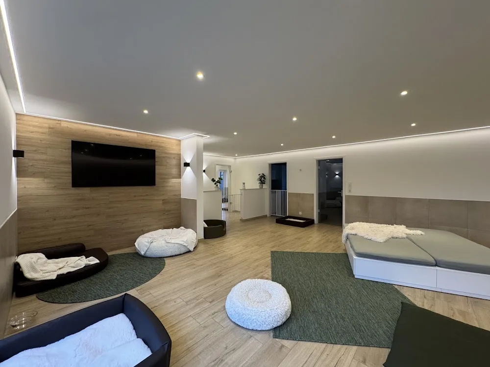 Hundeschule & Hunderesort JOYFUL | Inhaberin Janina Labalestra - Paderborn pet otel görseli 3