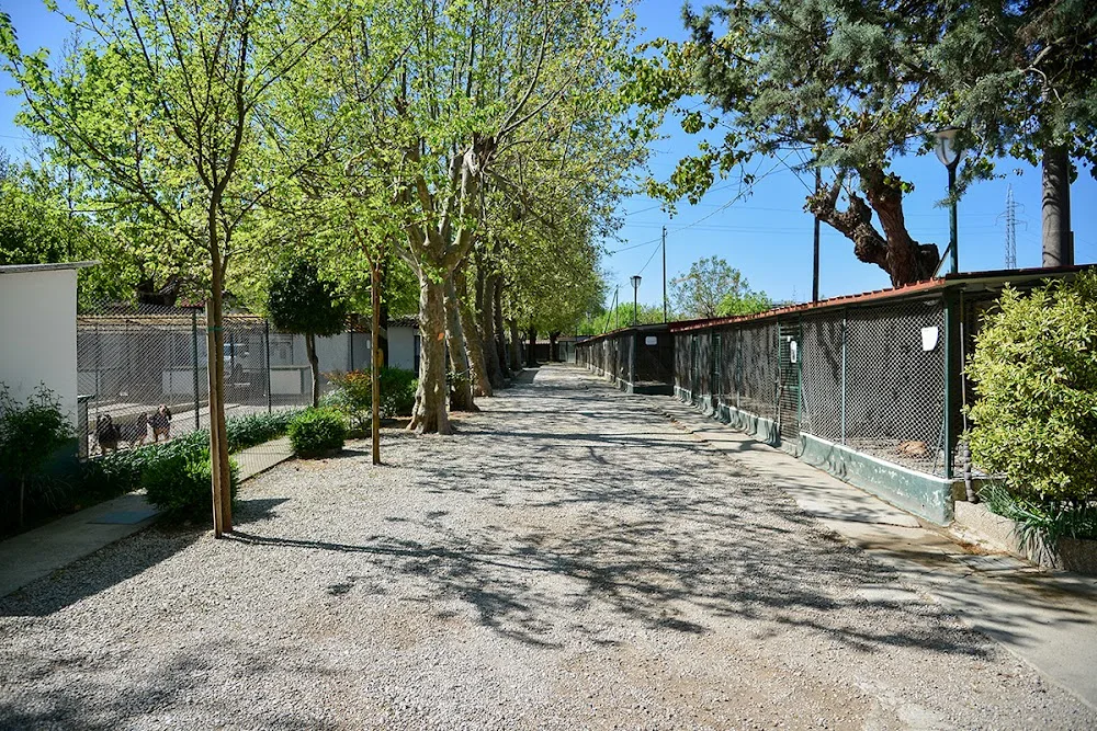 Canile - Rifugio di Rubano - Padua pet otel
