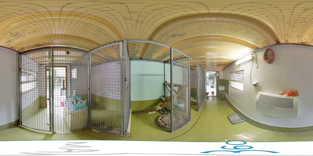 Canile - Rifugio di Rubano - Padua pet otel görseli 3