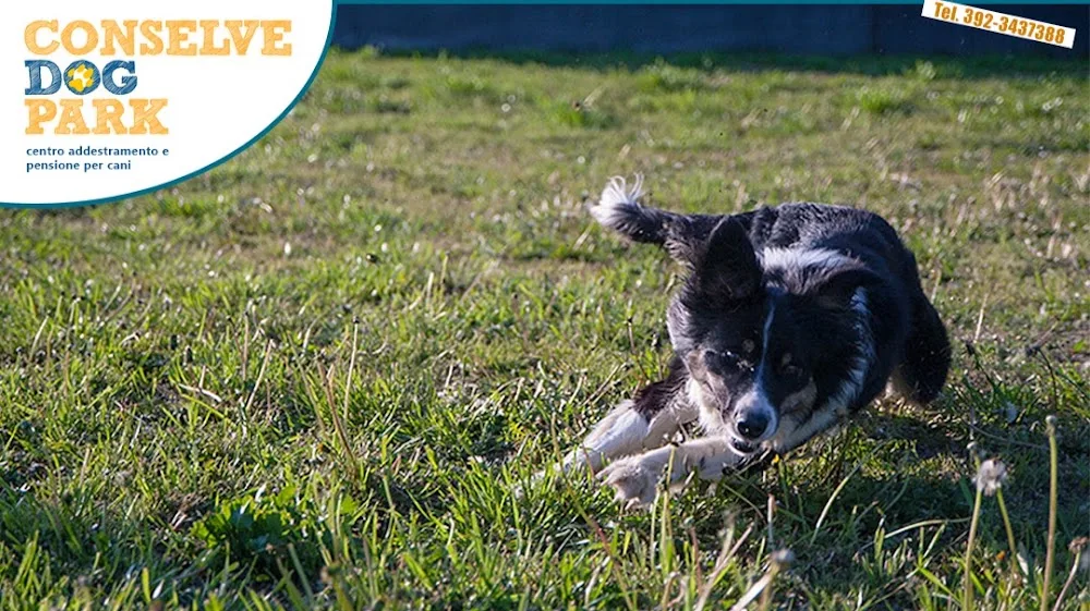 Dog Park Conselve - Padua pet otel