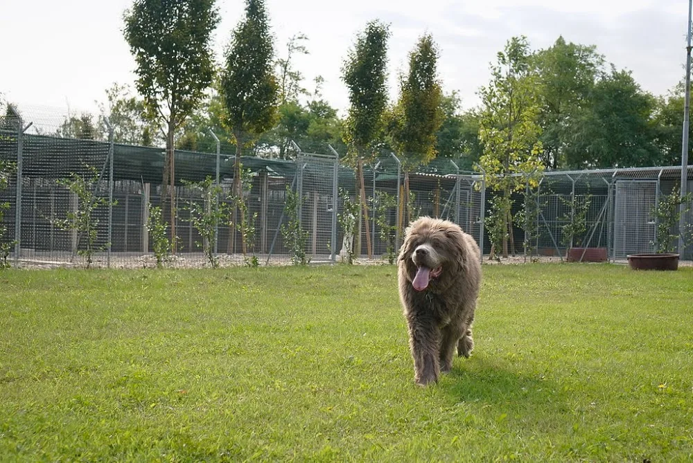 Von Casa Falco - Padua pet otel görseli 3