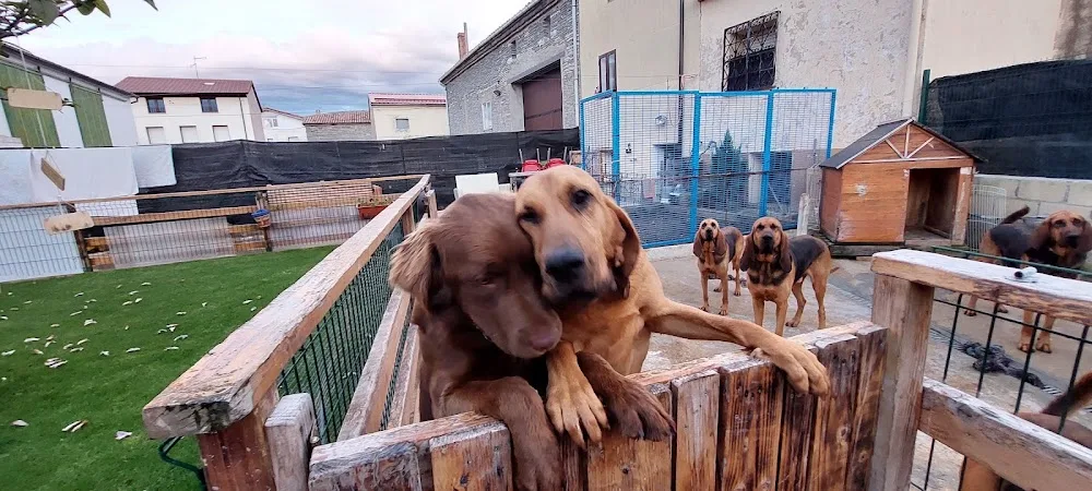 Las Huellitas de Alba - Palencia pet otel