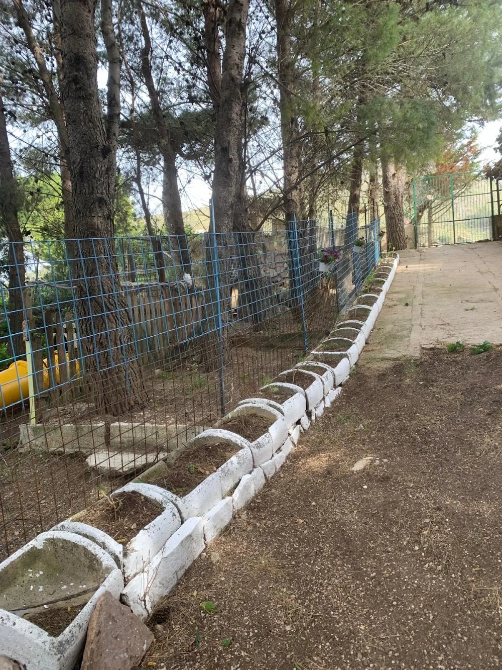 La Collina - Pensione per Animali - Palermo pet otel