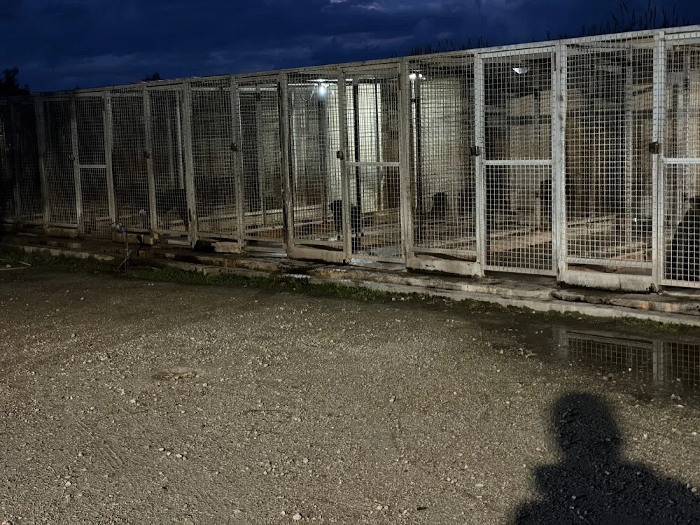 Pensione per cane - Palermo pet otel