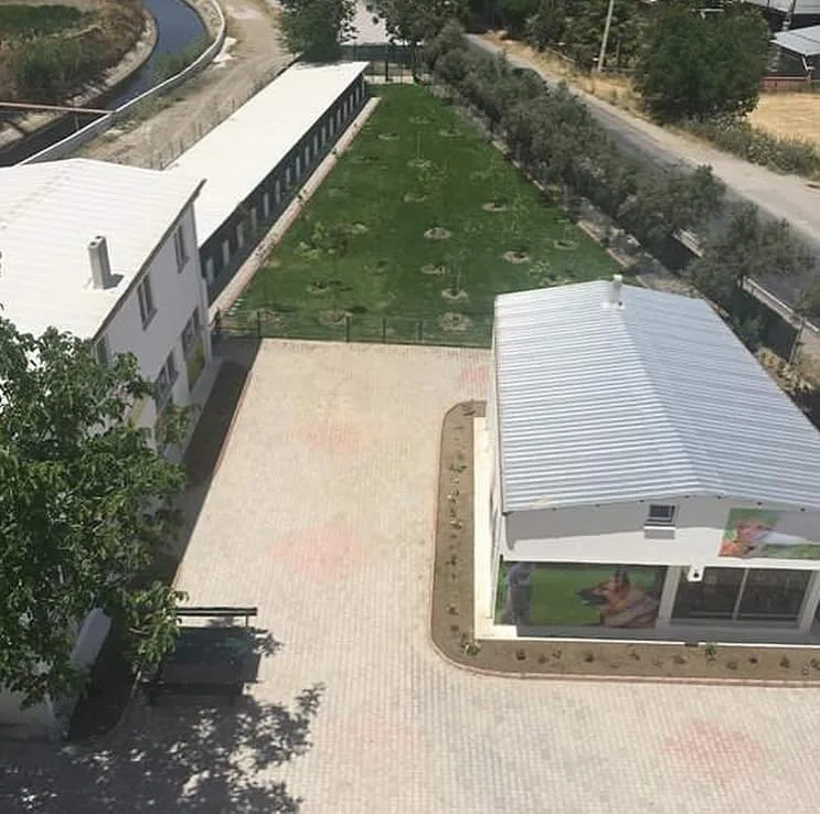 PAMUKKALE KEDİ KÖPEK EVİ - Denizli pet otel görseli 2