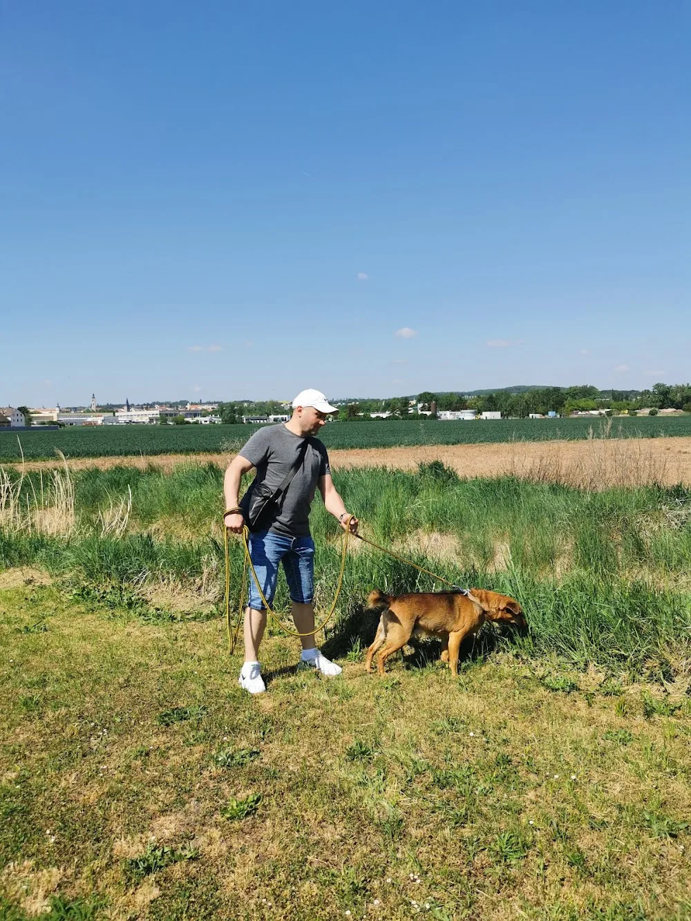 Dog Shelter Kutna Hora - Pardubický kraj pet otel görseli 3