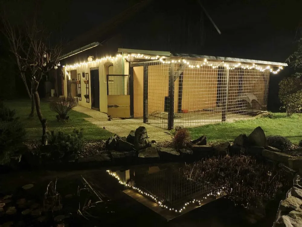 Hlídání pejsků u Bibinky - Pardubický kraj pet otel görseli 3
