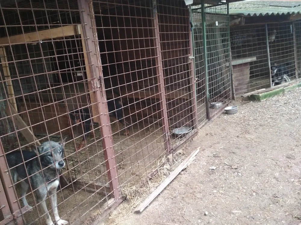 Psí domov Lukavice - Pardubický kraj pet otel
