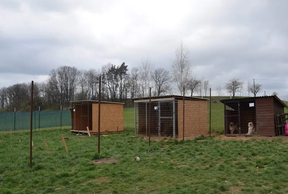 Psí domov Lukavice - Pardubický kraj pet otel görseli 3