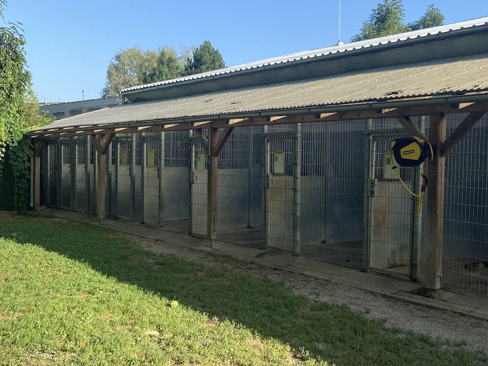 Psí útulek - Pardubický kraj pet otel görseli 3