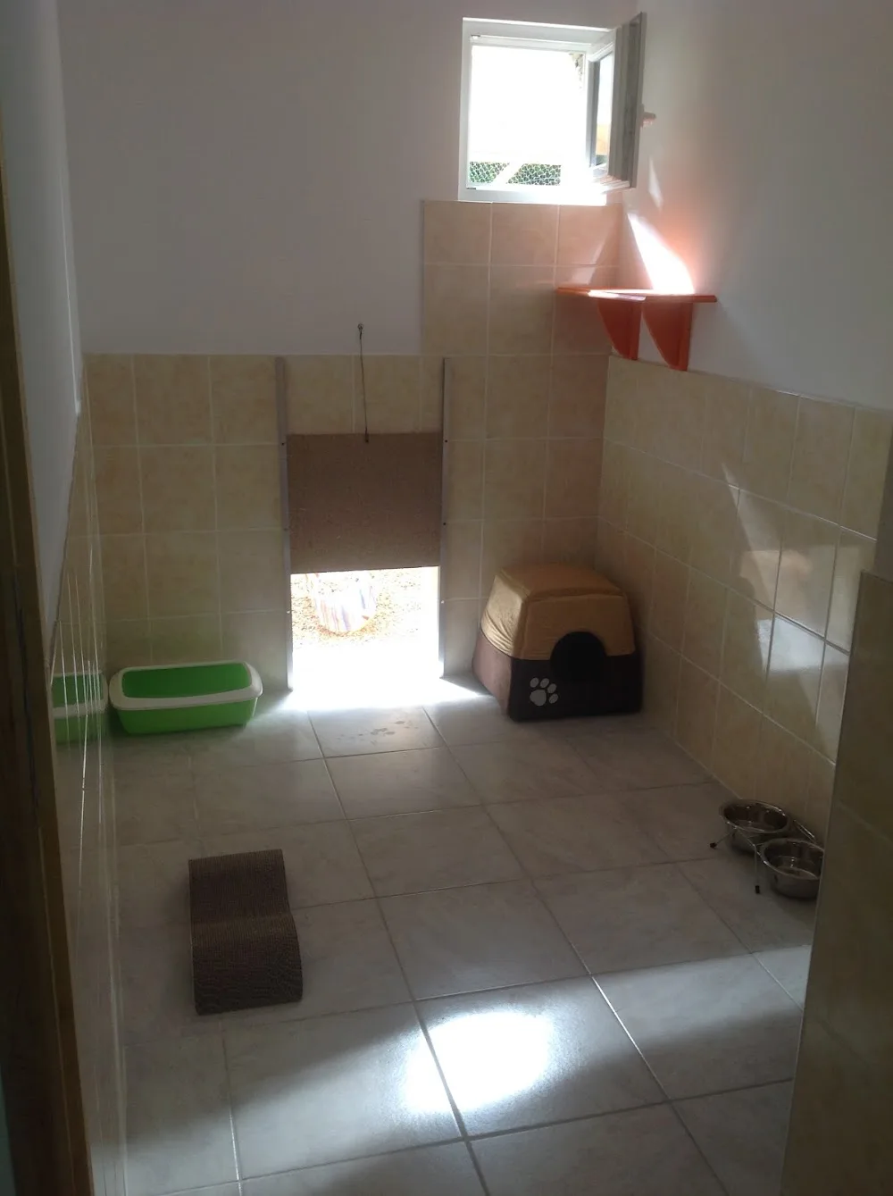 Chat Alors ! - Parennes pet otel görseli 3