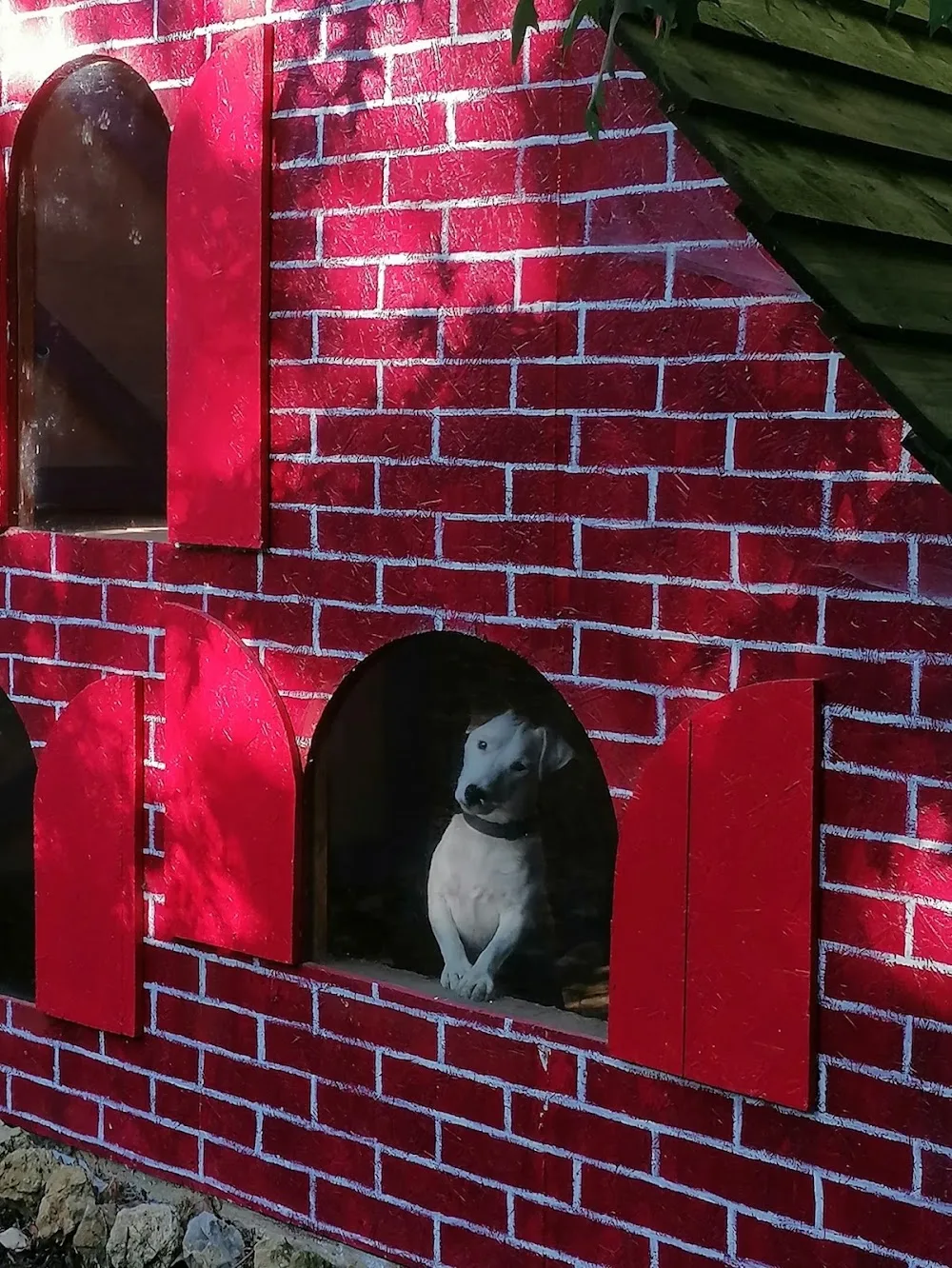 Les P'tits Clos des 4 Pattes - Parennes pet otel görseli 6