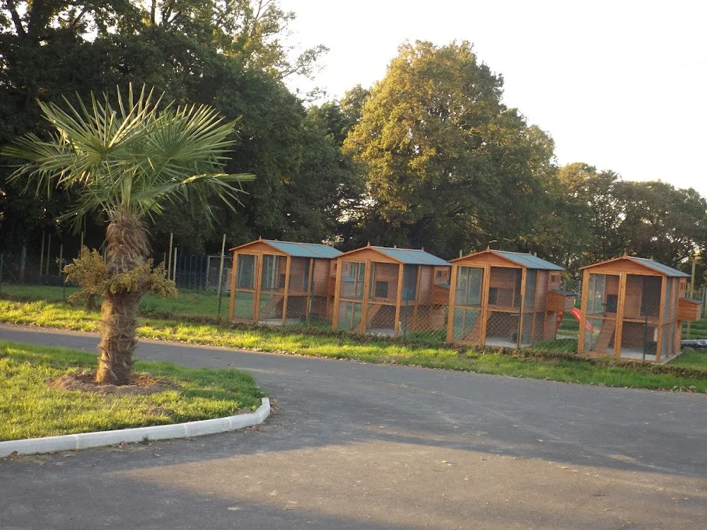 pension canine et féline et éducation du haras du breil - Parennes pet otel