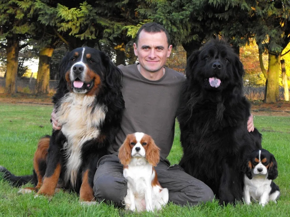 pension canine et féline et éducation du haras du breil - Parennes pet otel görseli 3