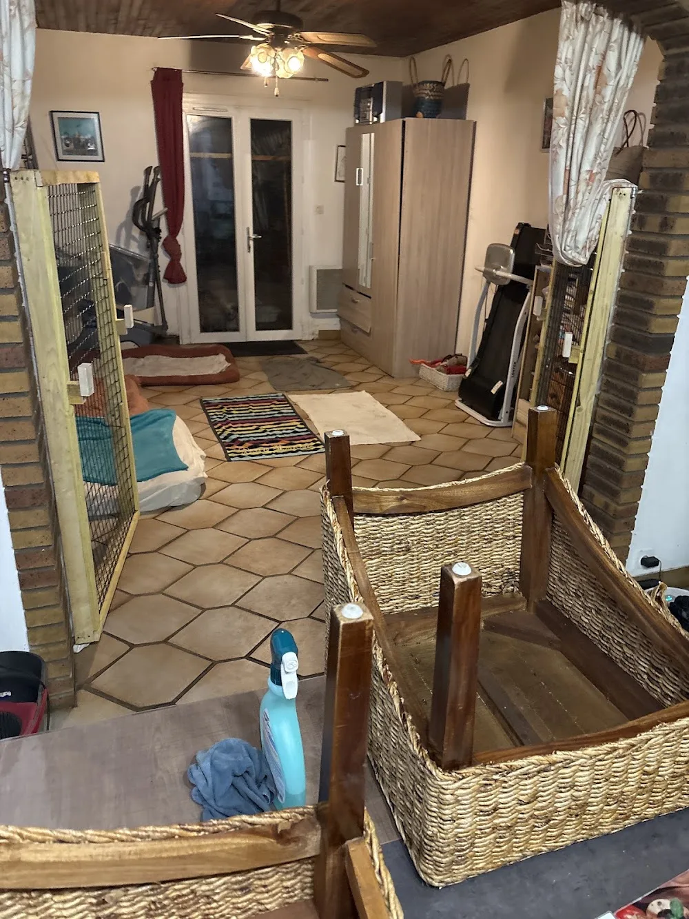 Pension Canine - Popo la bonne patte - Parennes pet otel görseli 7