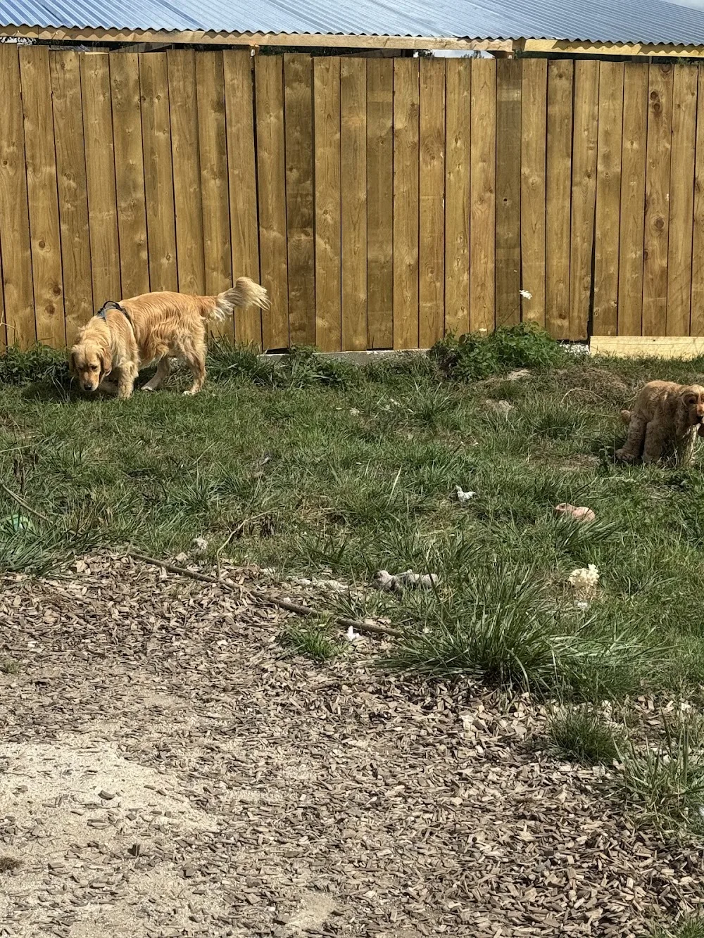 Pension de la Carrière - Parennes pet otel