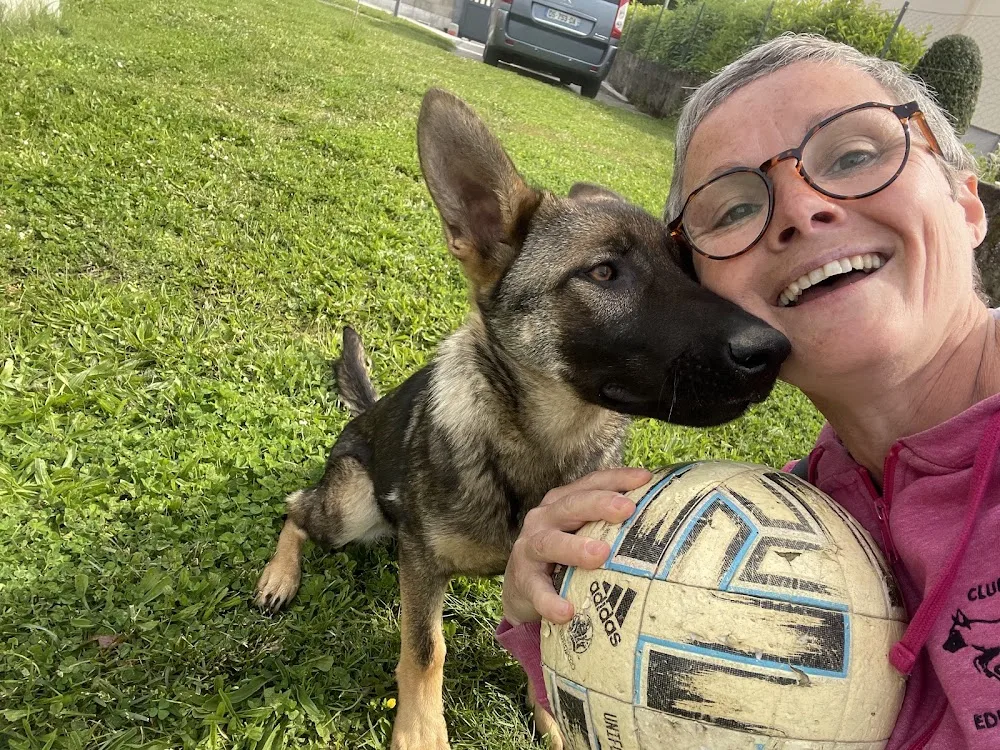 SoWoof - Sophie Boureau - Pension canine et Féline - La prairie des moulins - Parennes pet otel görseli 7