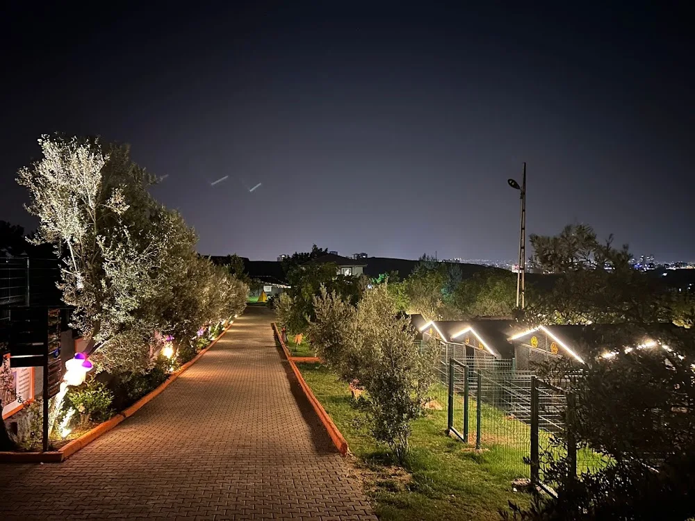 Park Petpoint Tuğba - Gaziantep pet otel görseli 3