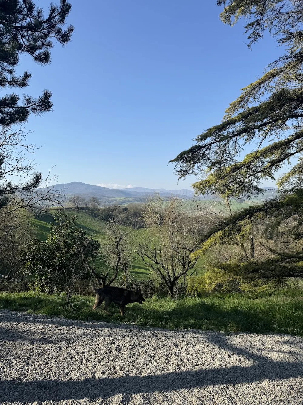 La Casa dei Pelosi - Parma pet otel görseli 3