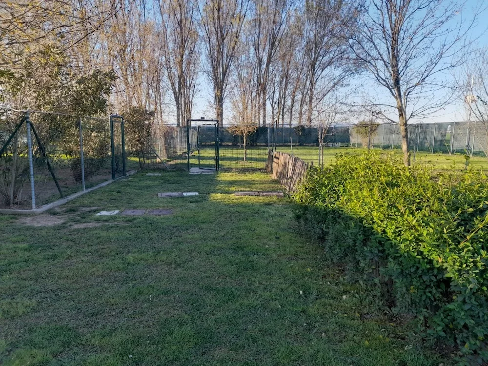 PENSIONE CANE FELICE - Parma pet otel görseli 3