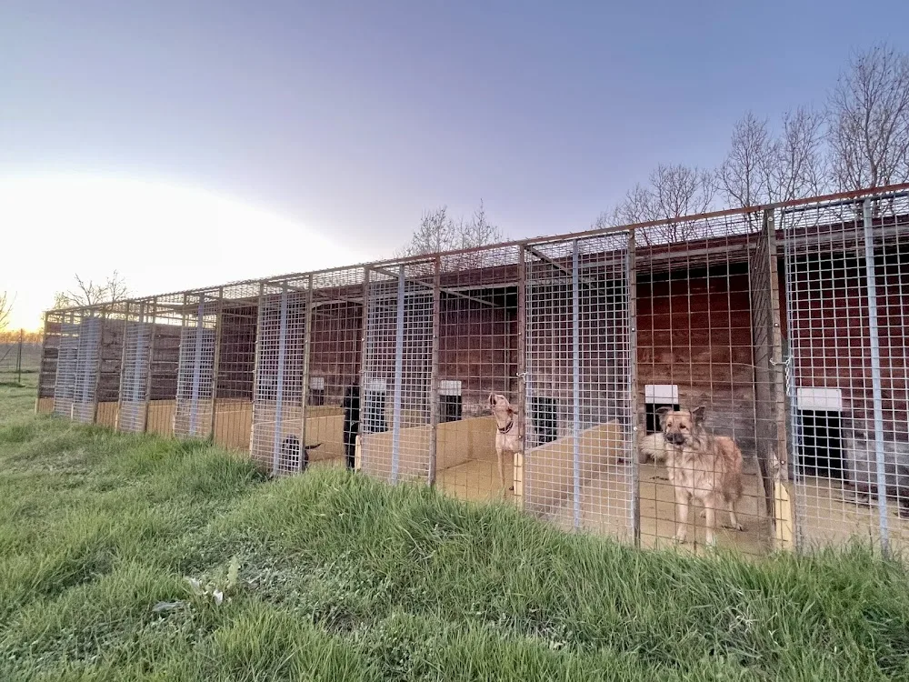 PENSIONE PER CANI 4 ZAMPE - Parma pet otel