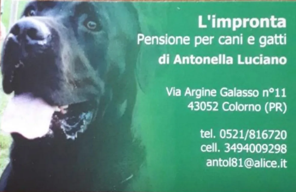 Pensione Per Cani e Gatti L'impronta - Parma pet otel