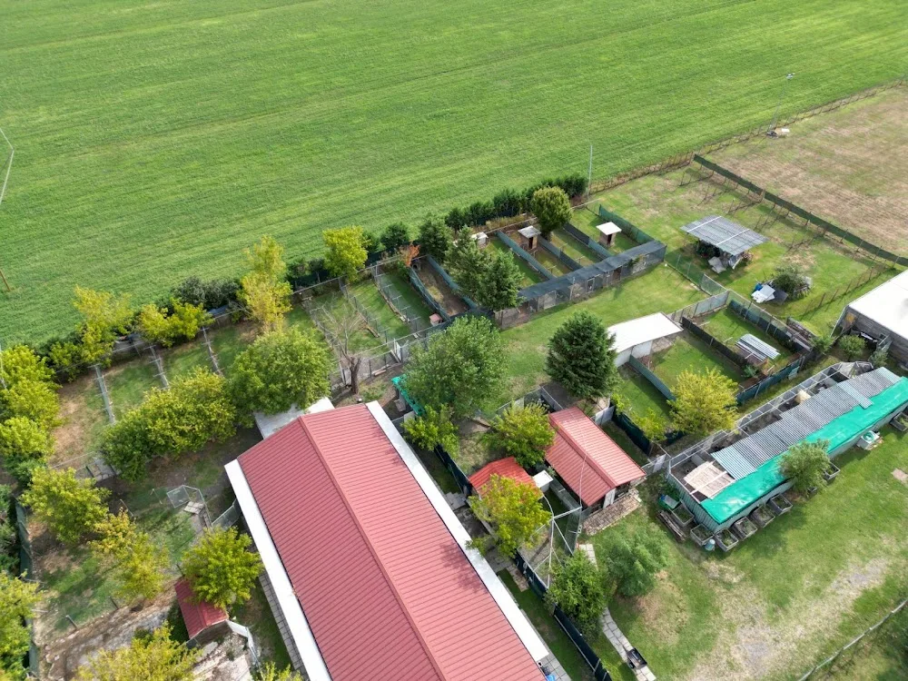 Rem Village - Pensione per Cani e Gatti - Parma - Parma pet otel görseli 3