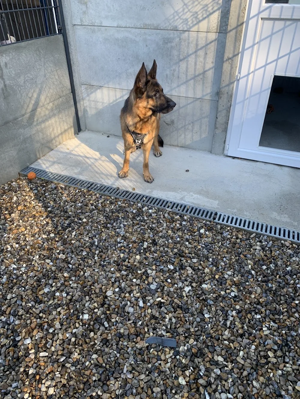 Auberge Canine Et Féline - Pas-de-Calais pet otel
