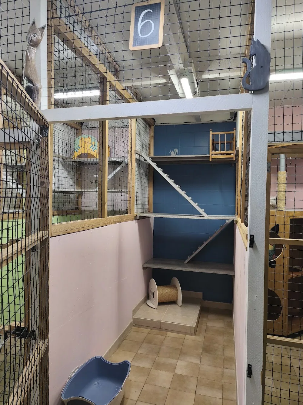 C'est Au Poil Pension Pour Chats et comportementalisme félin - Pas-de-Calais pet otel