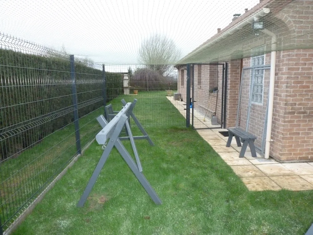 Le Chat'nel, pension féline pension pour chat à proximité de Saint-Omer Calais Audruicq Ardres - Pas-de-Calais pet otel görseli 3