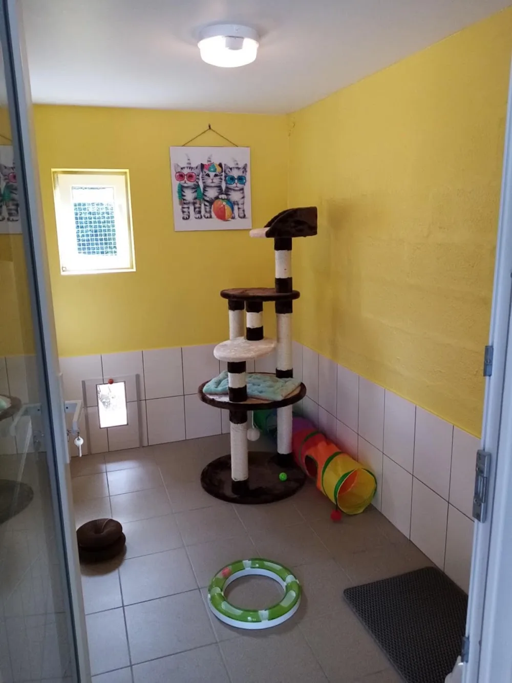 Les 4 pattes à Finette - Pas-de-Calais pet otel görseli 3