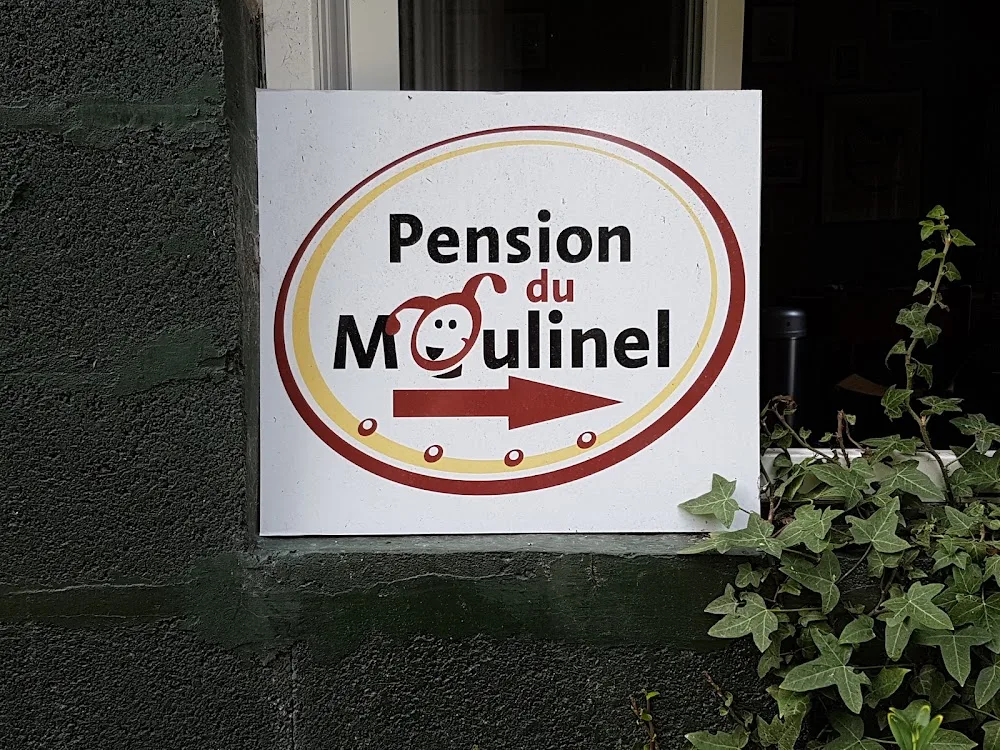 Pension du Moulinel - Pas-de-Calais pet otel görseli 2