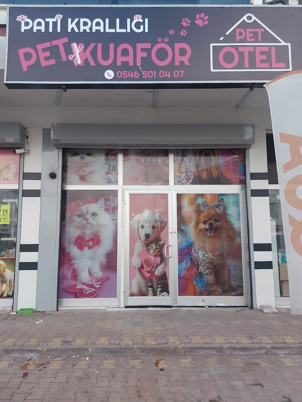 Pati krallığı pet kuaför pet otel - Konya pet otel görseli 3