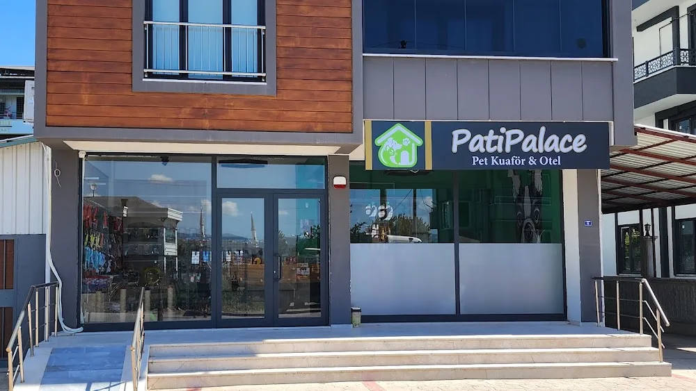 Pati Palace Pet Kuaför ve Kedi Oteli - Kocaeli pet otel görseli 2