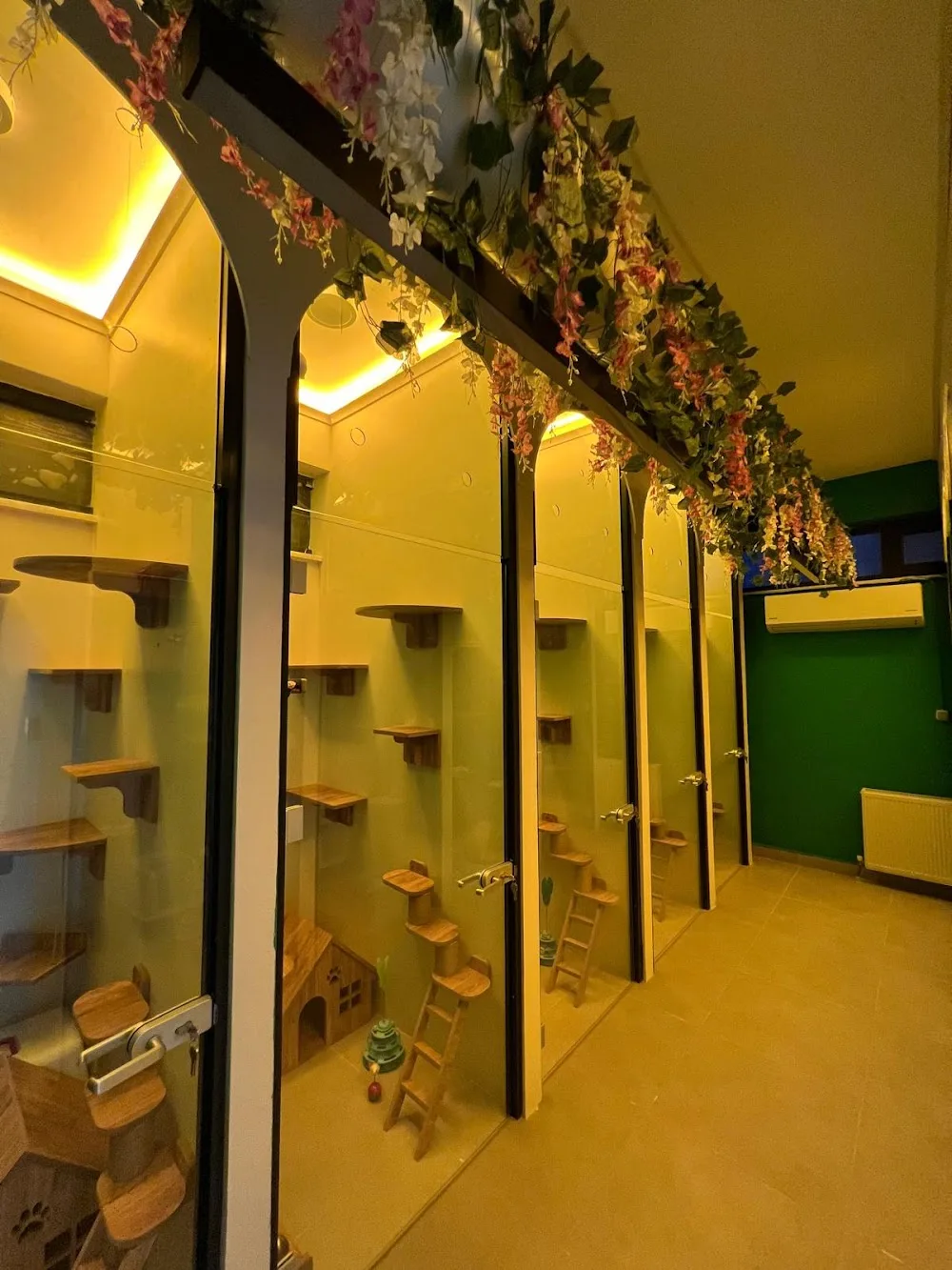 Pati Palace Pet Kuaför ve Kedi Oteli - Kocaeli pet otel görseli 3